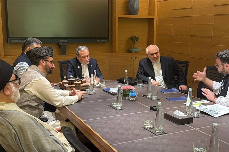 دیدار جمعی از علما و شخصیت‌های دینی هند با عراقچی+ عکس