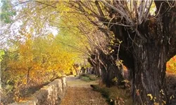 کاهش نسبی دما در برخی استان‌‌ها