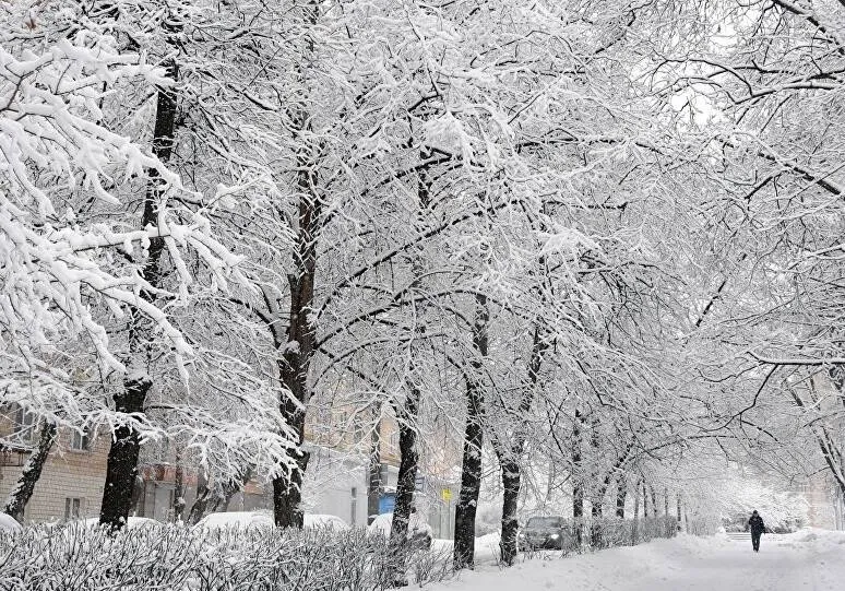 بارش برف مدارس دو استان را تعطیل کرد
