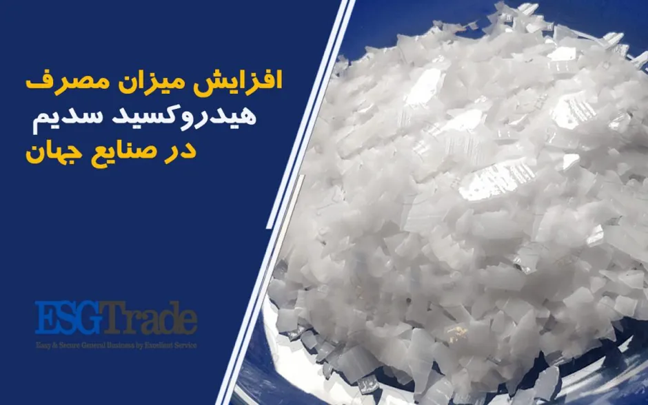 از بازار شگفت­ انگیز صادرات سود پرک در سال 99 چه می‌دانید؟