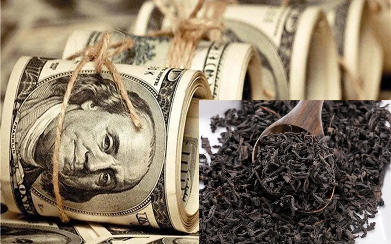 افشاگری جدید مجلس از فساد چای دبش / پشت پرده بزرگترین اختلاس تاریخ + فیلم