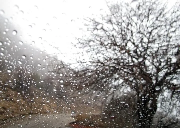 وزش باد و رگبار در استان تهران