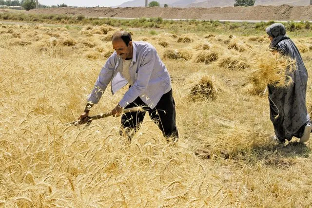 کدام کارگران کمترین دستمزد روزانه را می‌گیرند؟
