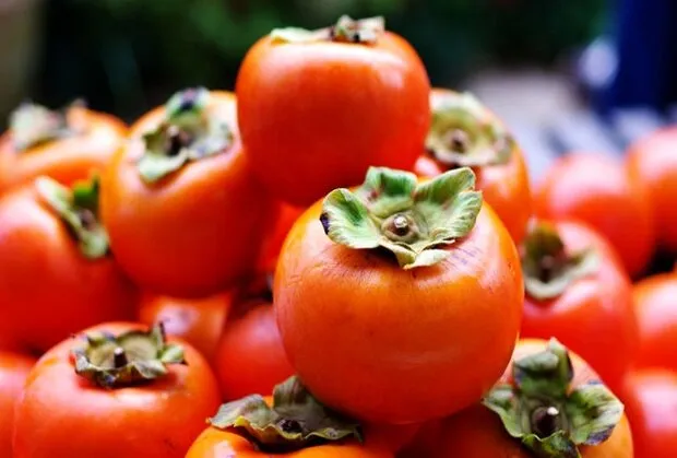دیگر برگ خرمالو را دور نریزید! + طرز تهیه دمنوش مفید