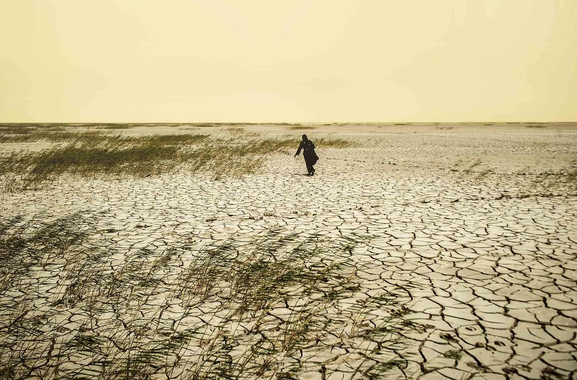 ایران ۳۲سال دیگر بیابان می‌شود