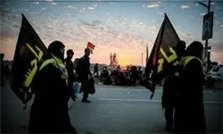 بیمه اجباری زائران اربعین لغو شد