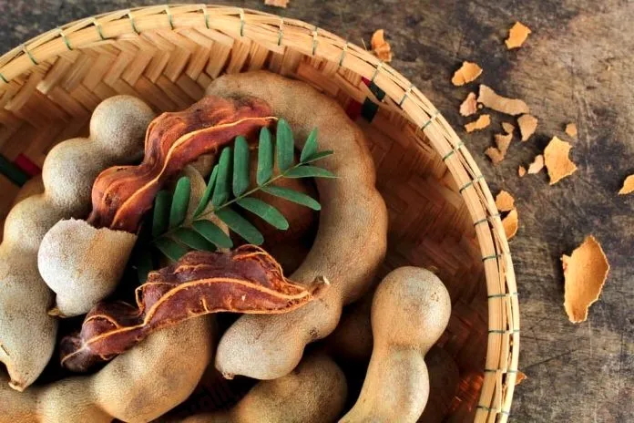 خواص جالب تمر هندی!