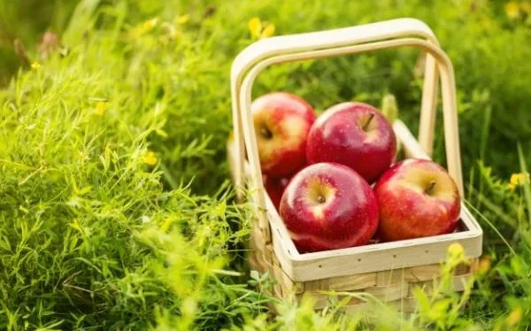 راهکاری خوشمزه برای داشتن پوستی زیبا