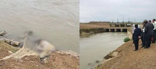 جسدی که پس از ۴ روز در آب پیدا شد + عکس