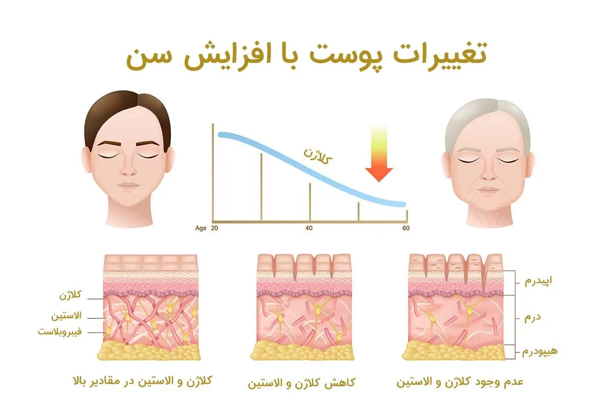 ۸ منبع غذایی عالی برای تقویت کلاژن سازی در بدن