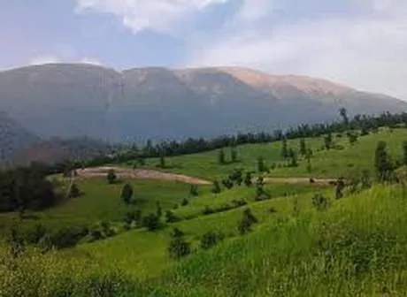 بی‌کلانتری محیط زیست