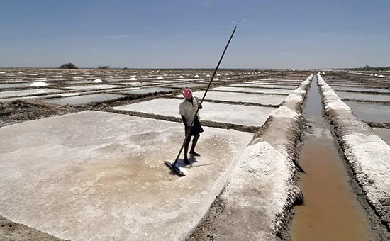 مزه نمک ایرانی زیر زبان بازار دنیا