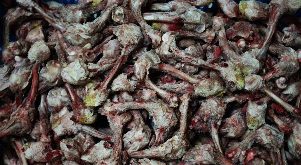کشف ۴۵۰ کیلوگرم گوشت الاغ از یک قصابی