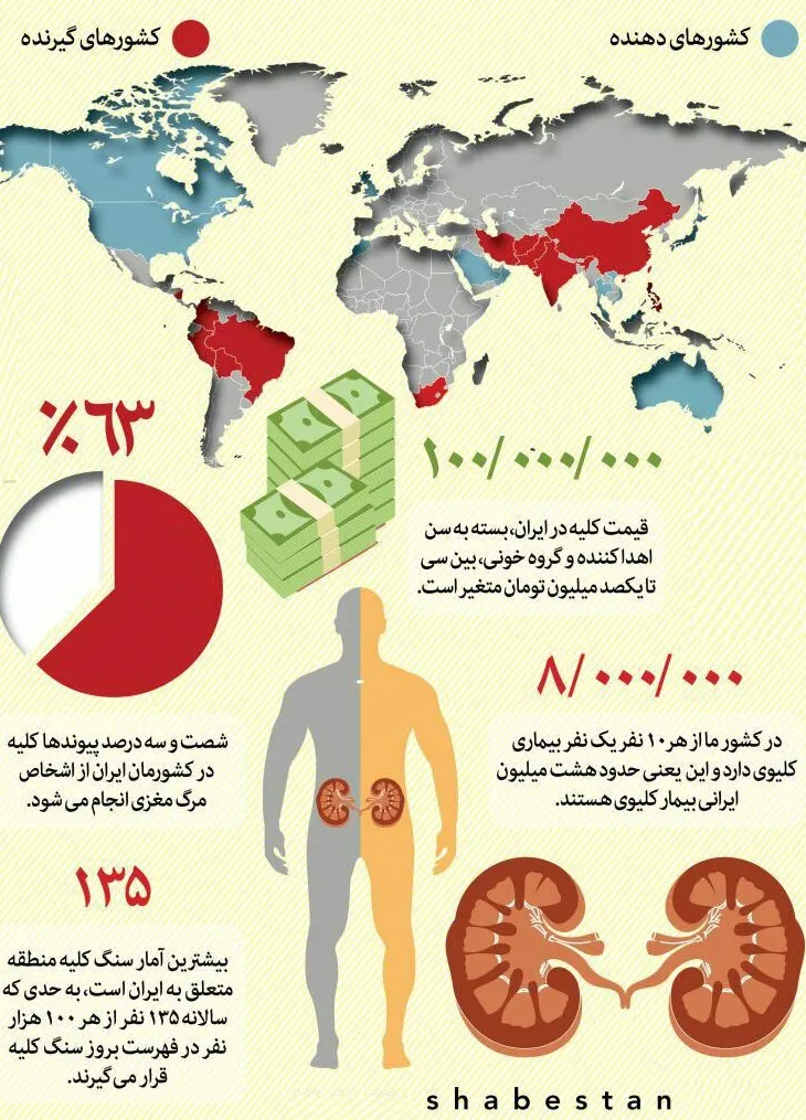 چند می‌گیری، کُلیه بدی؟ +اینفوگرافیک