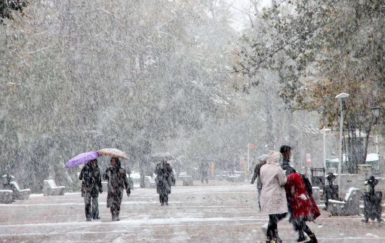 مدارس سه شهر تهران تعطیل شد