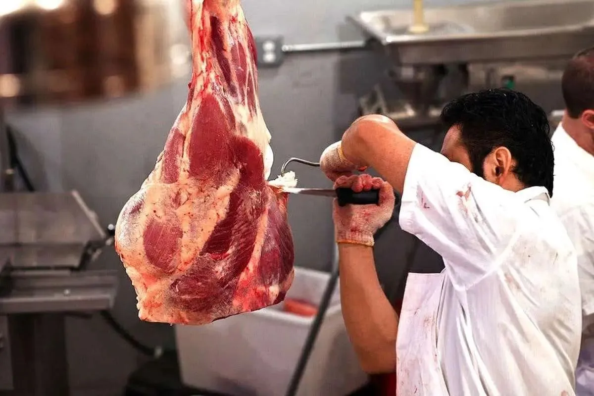 توضیحات نماینده مجلس درباره ورود گوشت‌های آلوده مغولستانی