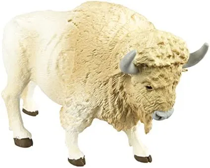 این بوفالوی سفید نادر را ببینید! +فیلم