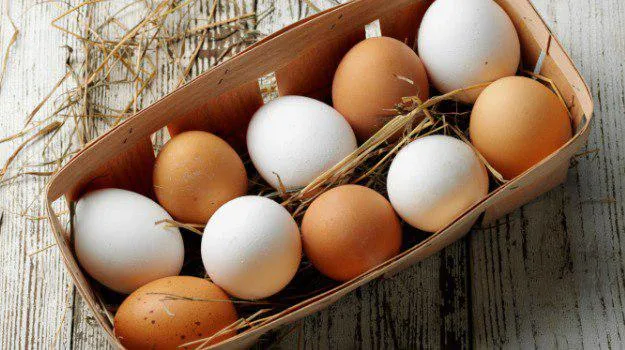 واردات تخم مرغ بیشتر می شود