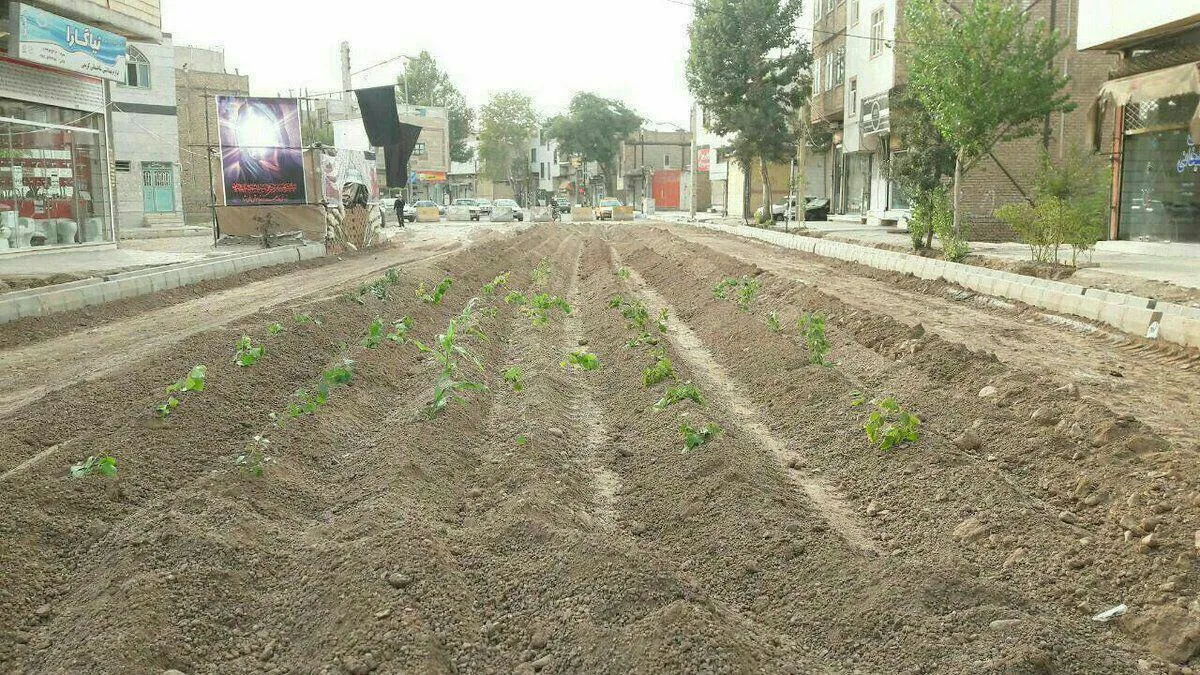 اعتراض به آسفالت نشدن خیابان به سبک قزوینی‌ها +عکس