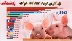 بزرگترین تولید کنندگان خوک از ۲۰۲۰-۱۹۶۰ +فیلم