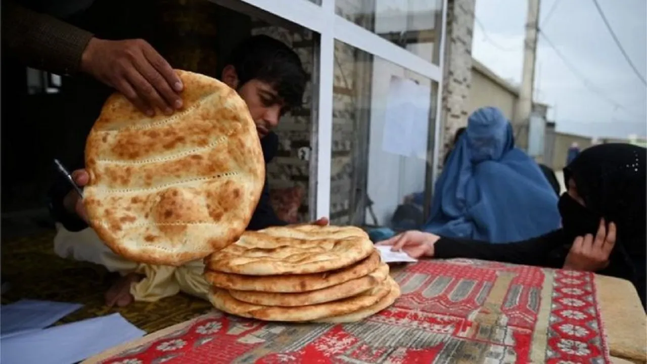 قاچاق نان به افغانستان و پاکستان / عبور آرد از مرز به اسم فضولات حیوانی