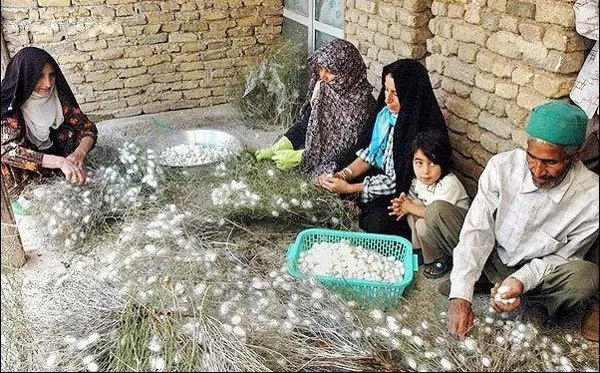 طرح تعاون روستا ۱۲۰هزار میلیارد ریال اعتبار دارد