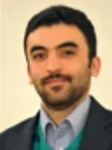 مشاوران خارجی در اقتصاد ایران