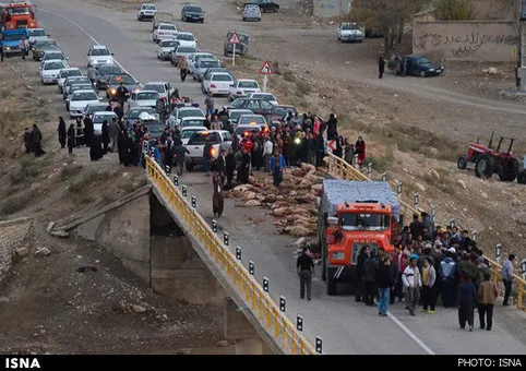 تصادف دلخراش تریلی با گله گوسفند +عکس