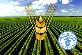 شرکت در مسابقه ویدئویی روز بین‌المللی کوهستان