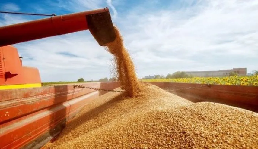 آخرین وضعیت توافق غلات بین روسیه و اوکراین