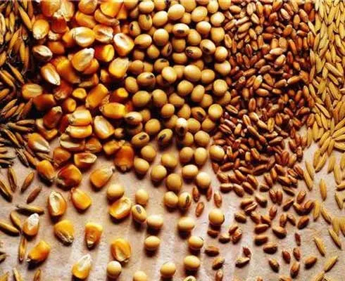 قیمت جدید خوراک دام و طیور