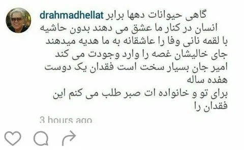 موج پیام تسلیت برای سگ بازیگر ایرانی! +عکس