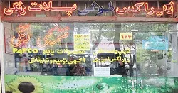 تنوع در خدمات؛ رمز موفقیت
