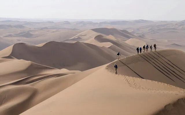نجات ۲۶ کویرنورد مفقود