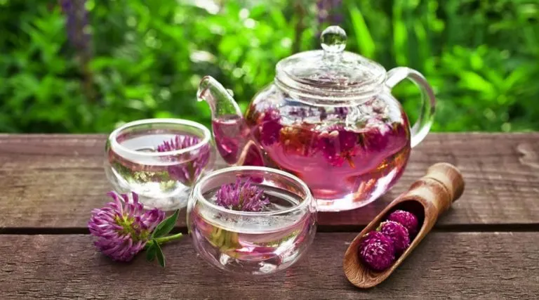 این گیاه دارویی مرحم رگ های مسدود قلب است