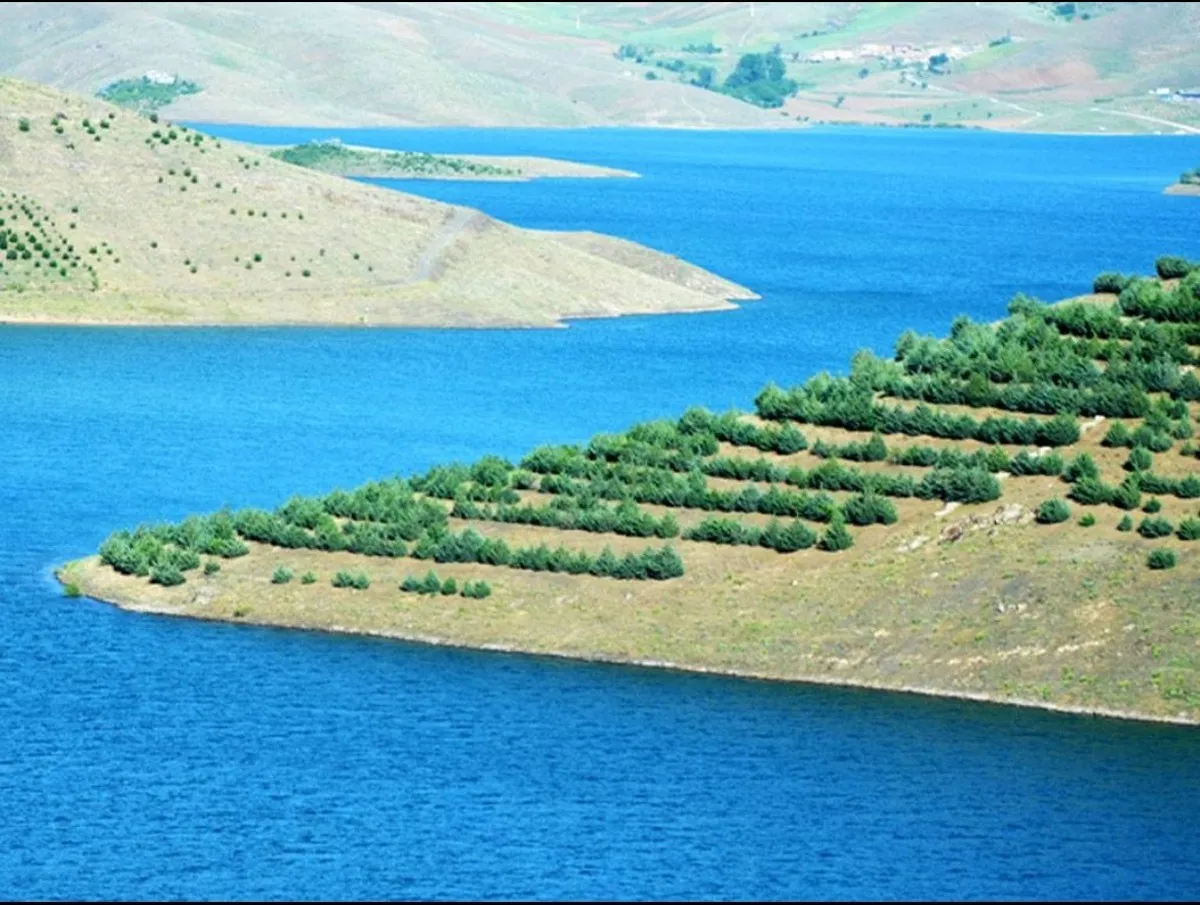 مکالمه رایگان ایرانسل به مناسبت روز کردستان