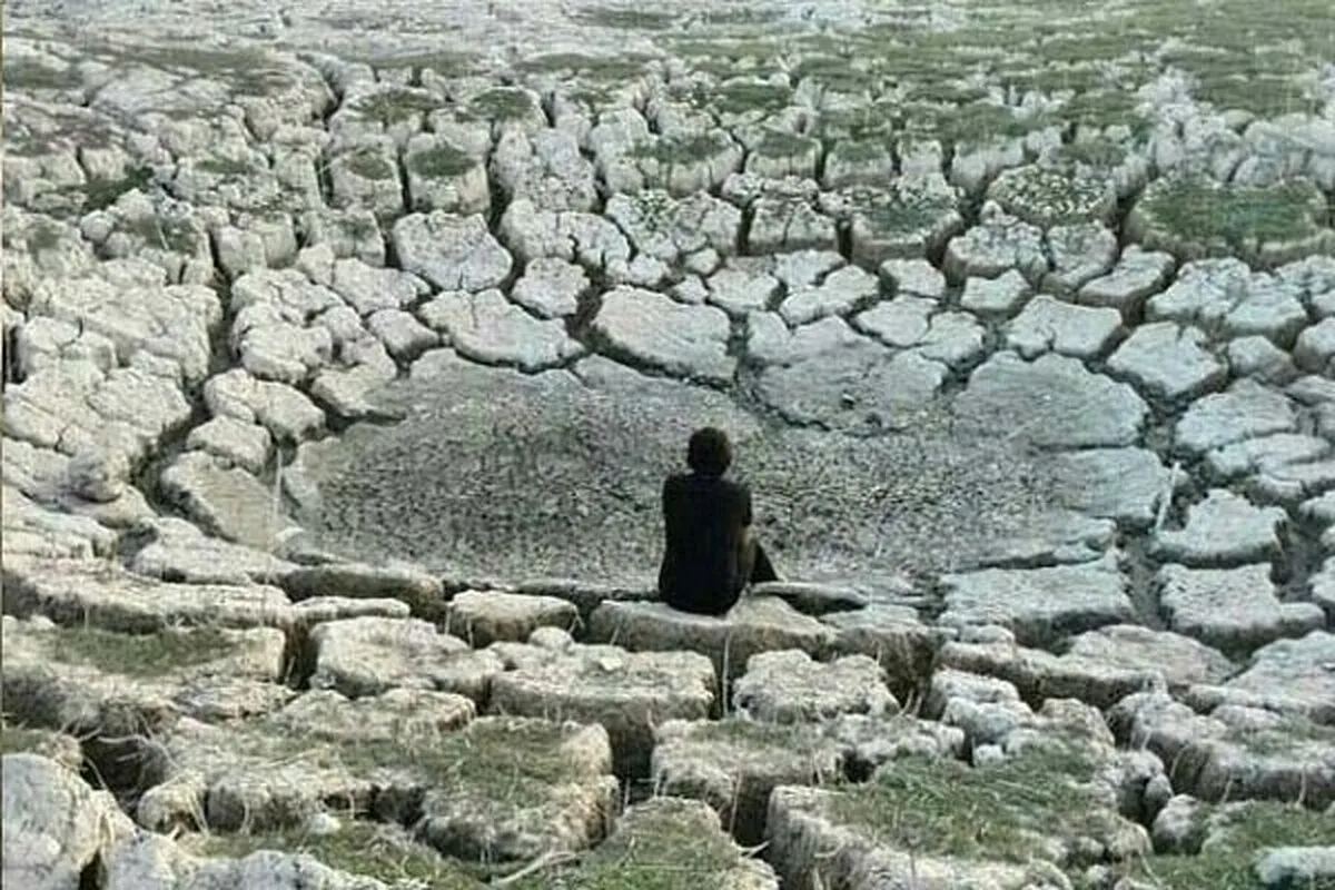 «سراب نیلوفر» خشک شد