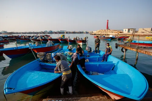 ماهیان جنوب آب شدند