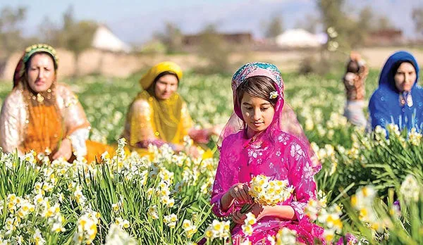 مانع اصلی گردشگری کشاورزی چیست؟