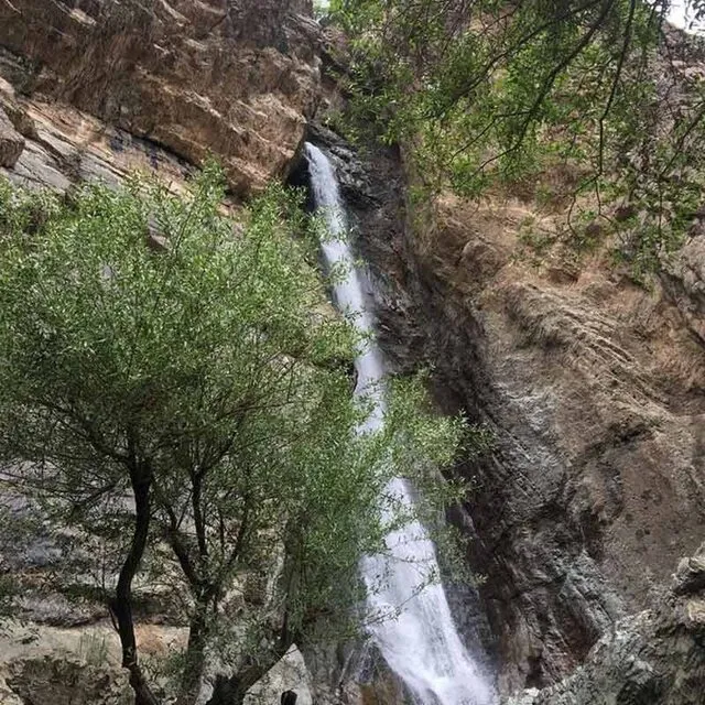 عکاسی مرگبار در کن و سولقان