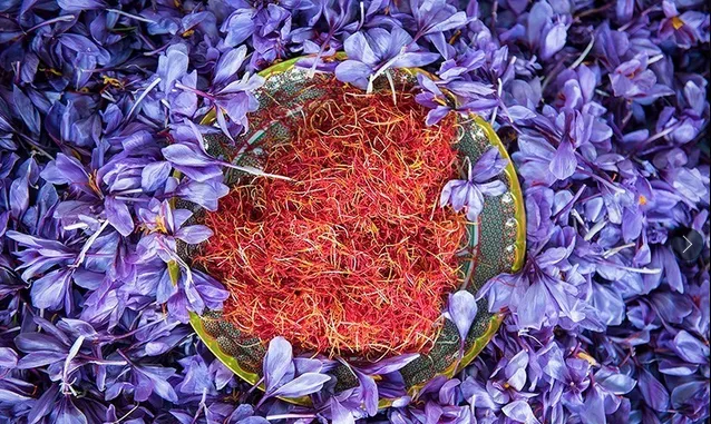 افزایش صادرات زعفران با روش محققان کشور
