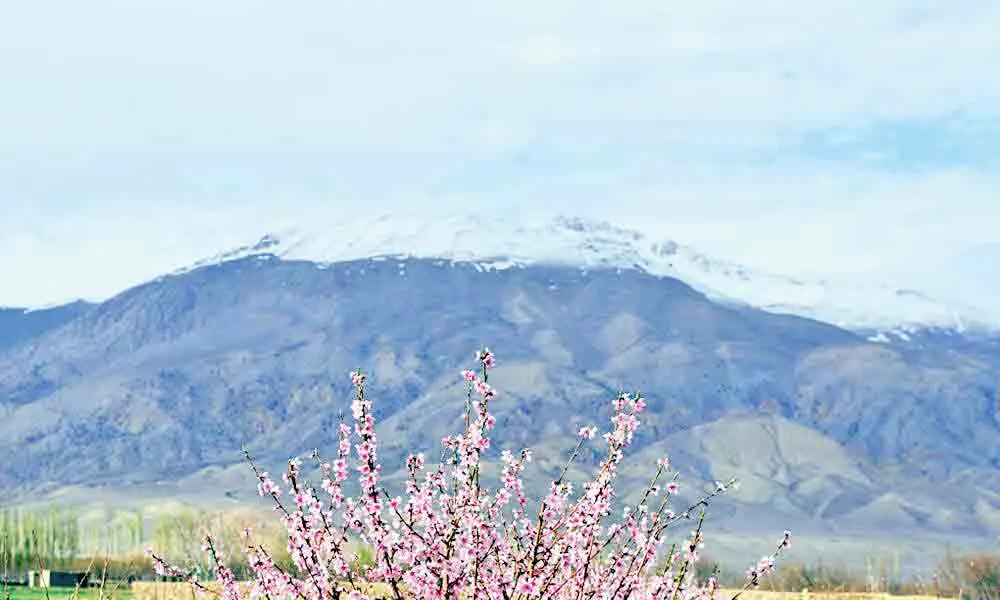 کوه‌هایی که خورده شدند! +عکس