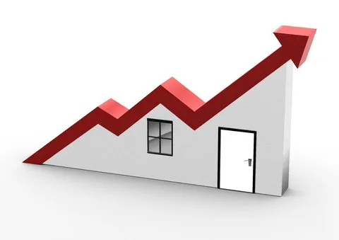 زبان بازار ملک چه می‌گوید؟