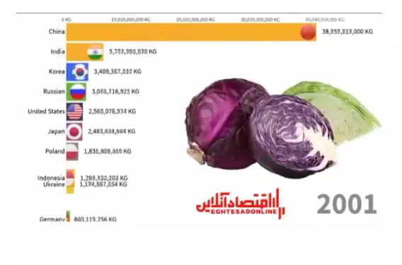 بزرگترین تولیدکنندگان کلم از سال ۱۹۷۰ تا ۲۰۱۹ +فیلم