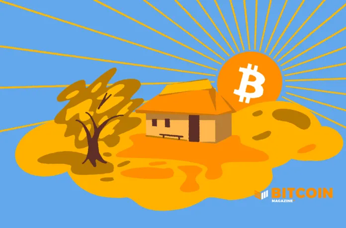 پذیرش بیت‌ کوین در کدام اقتصادها سریع تر است؟