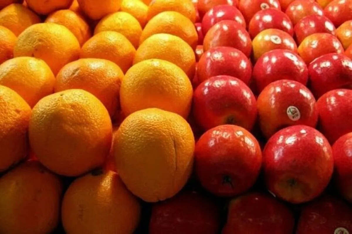 کاهش چشمگیر قیمت میوه در راه است