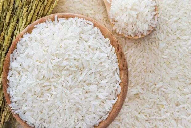 عرضه برنج وارداتی با قیمت مصوب برای تنظیم بازار ادامه دارد