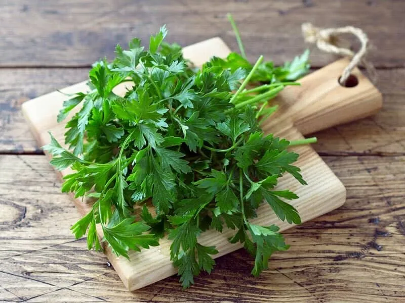از این سبزی کلسیم ساز در سبزی خوردن غافل نشوید