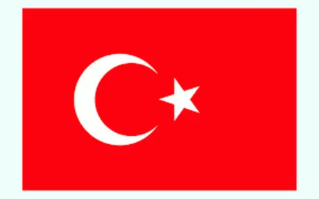 آنکارا: ایران، روسیه و ترکیه ضامن مذاکرات آستانه خواهند بود