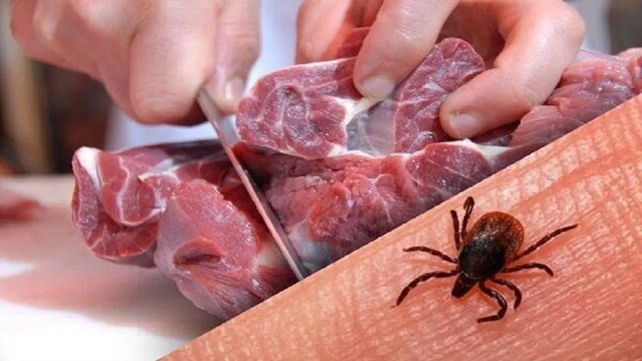 ابتلای ۵۷ نفر و فوت پنج نفر بر اثر تب کریمه کنگو